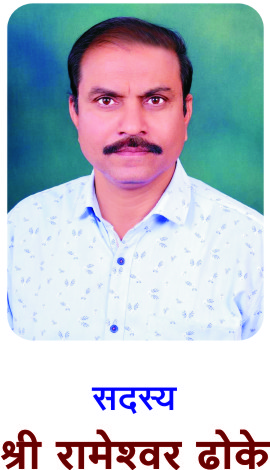 श्री. मधुकर ढोके