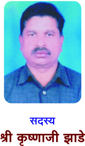 श्री. मधुकर ढोके