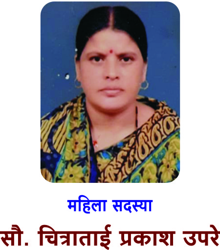 श्री. मधुकर ढोके