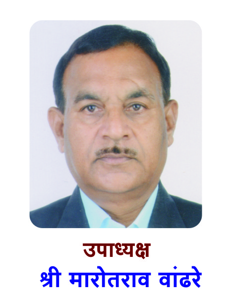 श्री. मधुकर ढोके