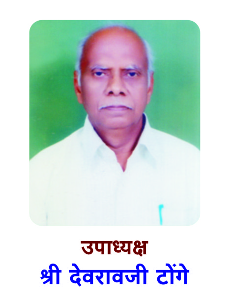 श्री. मधुकर ढोके